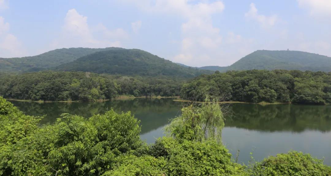 微信图片_20210730104148